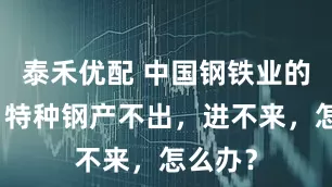 泰禾优配 中国钢铁业的痛点：特种钢产不出，进不来，怎么办？